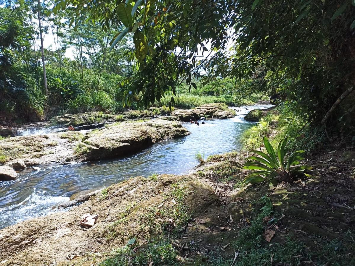 Villa Ceiba La Fortuna 外观 照片