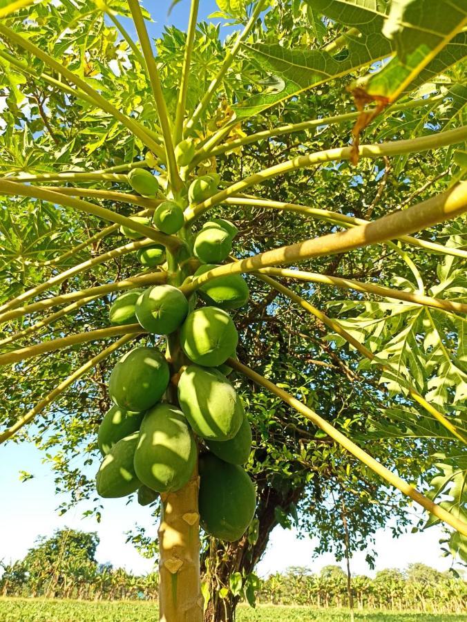 Villa Ceiba La Fortuna 外观 照片
