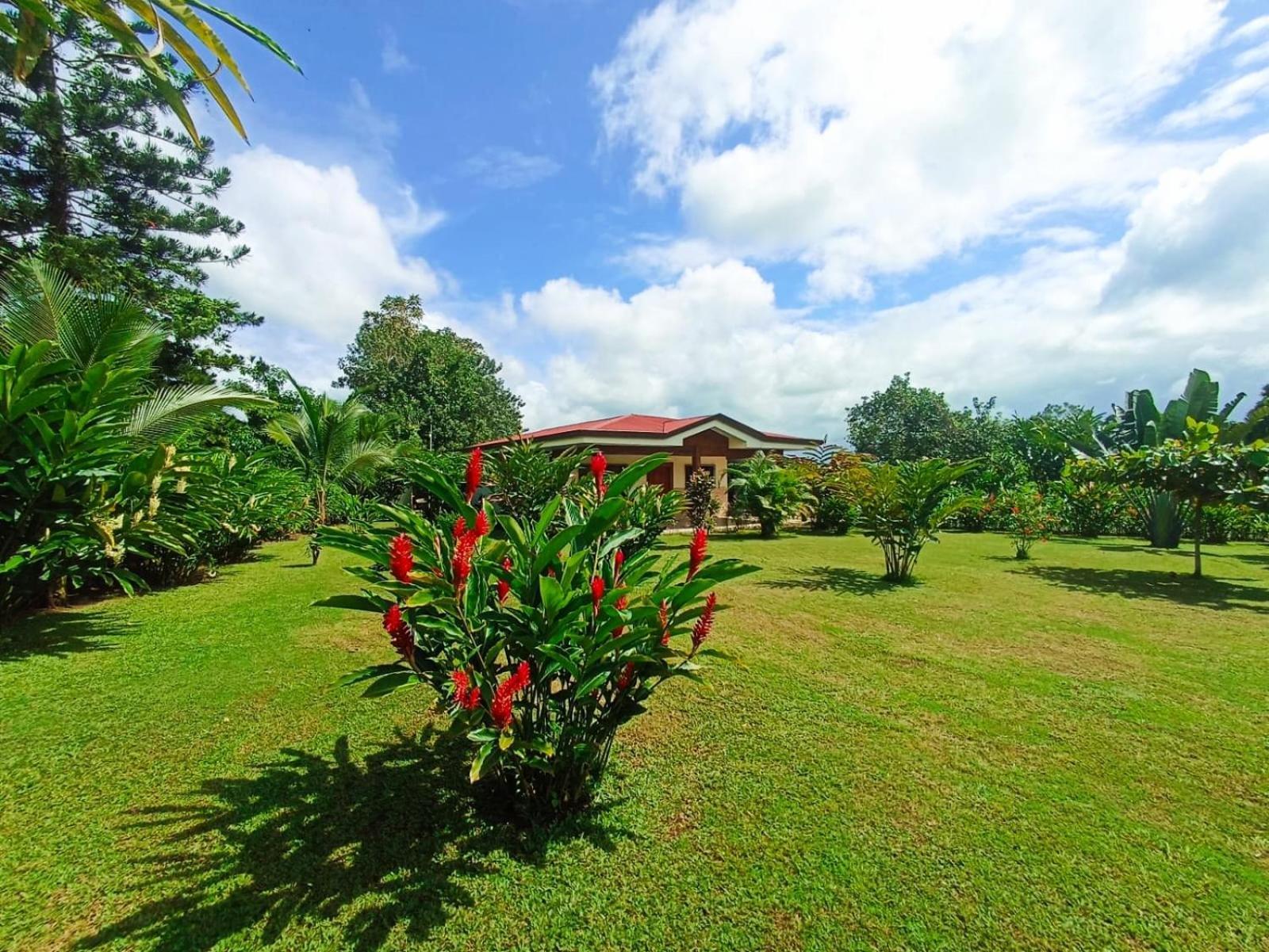 Villa Ceiba La Fortuna 外观 照片