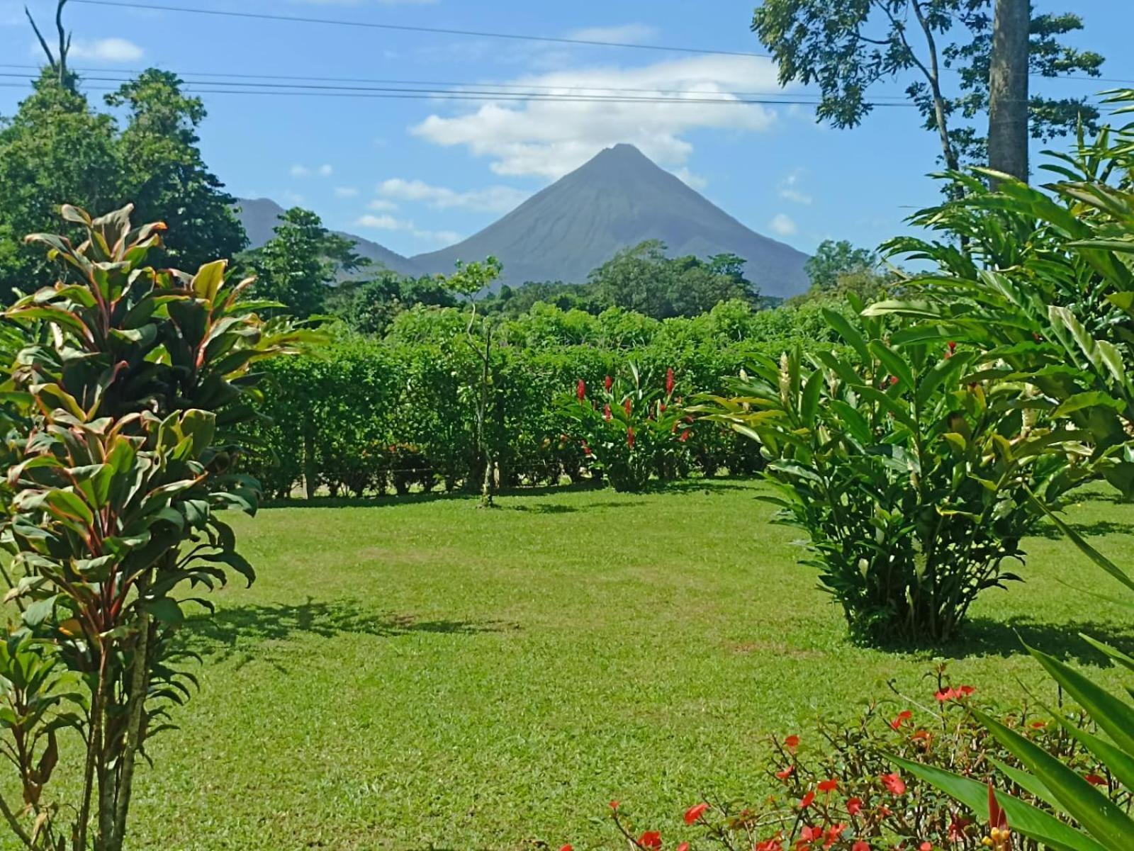 Villa Ceiba La Fortuna 外观 照片